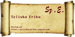 Szlivka Erika névjegykártya